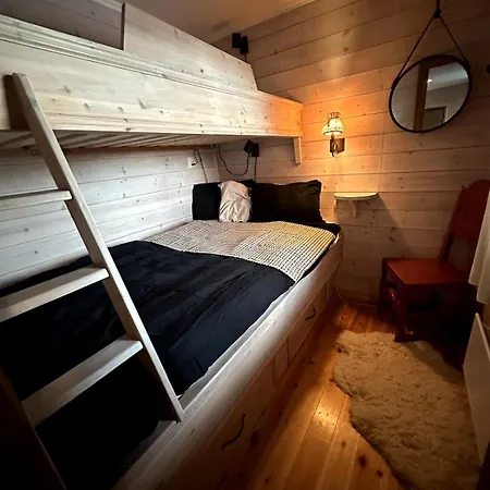 In-ski Out Hemsedal Leilighet Fausko