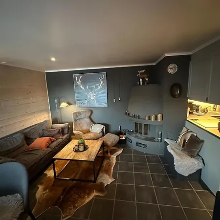 In-ski Out Hemsedal Apartment *