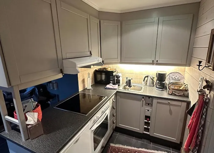 In-ski Out Hemsedal *