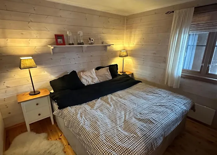 Apartment In-ski Out Hemsedal *
